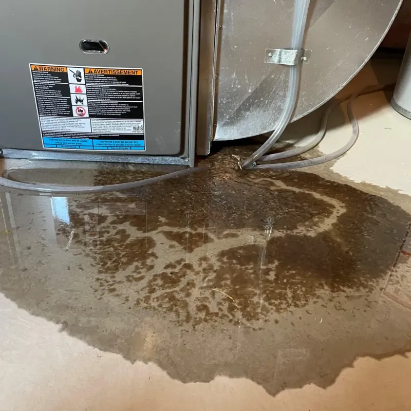 Appliance Leak Cleanup in Warrenton, OR